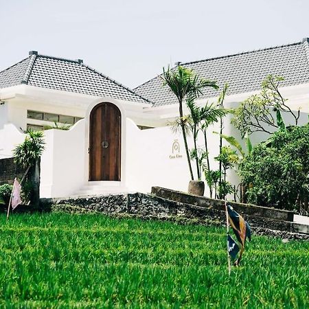 New Design Villa Casa Alma 3Bdr With Private Pool, Canggu Exteriér fotografie